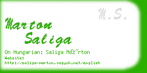 marton saliga business card